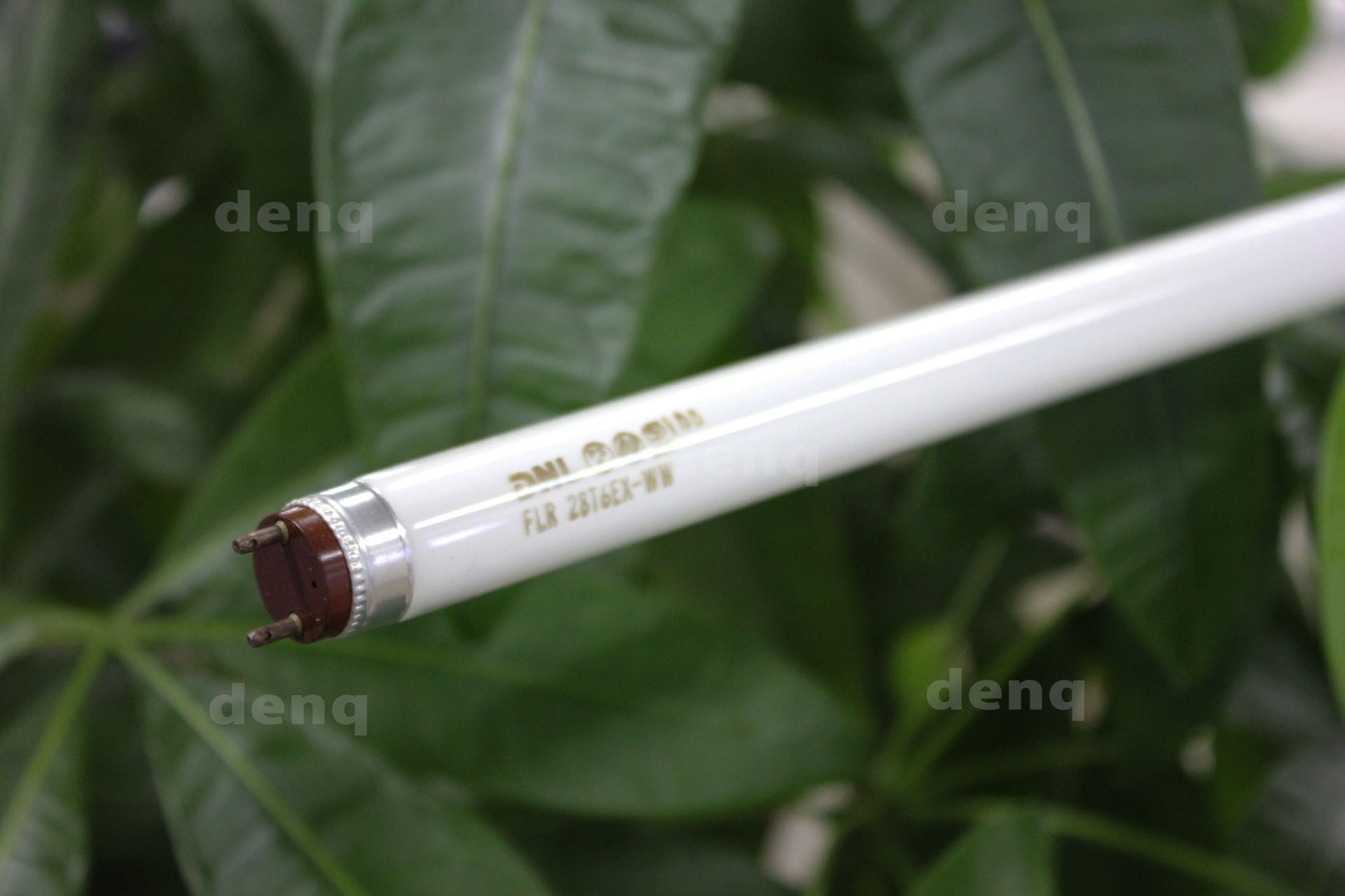 DNライティング（DNL） FLR606T6EX-L 電球色(2800K) （ランプ長 606mm）