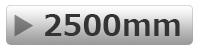 2500mm