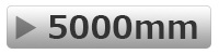 5000mm