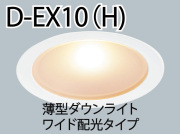 D-EX10