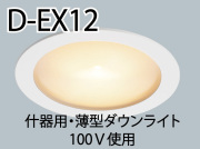 D-EX12