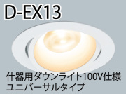 D-EX13